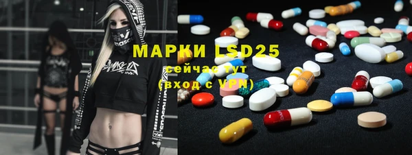 прущие грибы Слюдянка