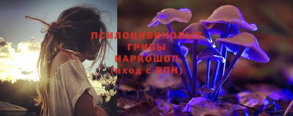 дживик Абинск