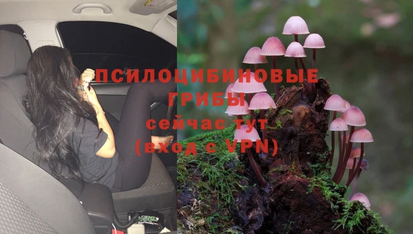 марки lsd Снежинск