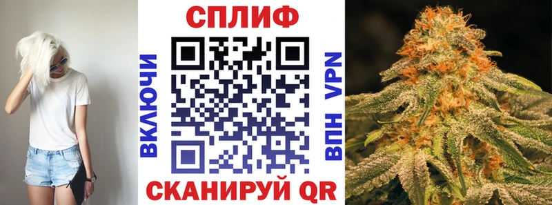 Каннабис Bruce Banner Ачхой-Мартан